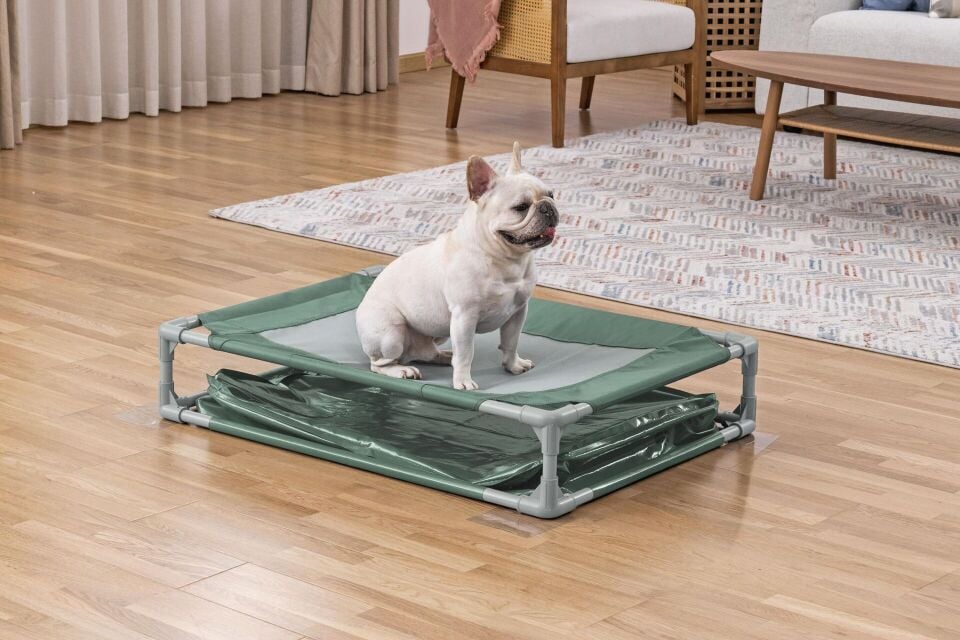 Bestway 561RG Fetchin Fun Köpek Oyun Havuzu & Yükseltilmiş Yatak 1,02 m x 74 cm x 20 cm