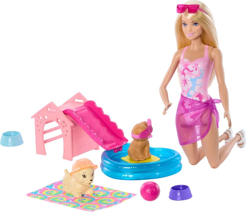 Barbie Köpekçikle Havuz Partisı Oyun Seti JBF35