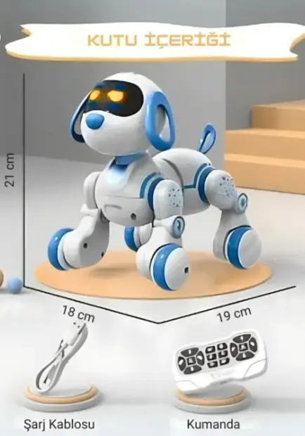 Seher Robot Köpek Kumandalıı SH40193