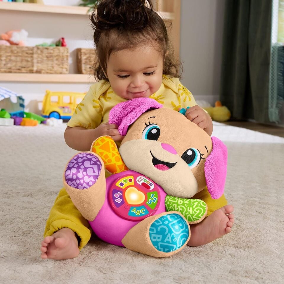 Fisher-Price Fisher Price Eğitici Köpekçiğin Kız Kardeşi JFD34