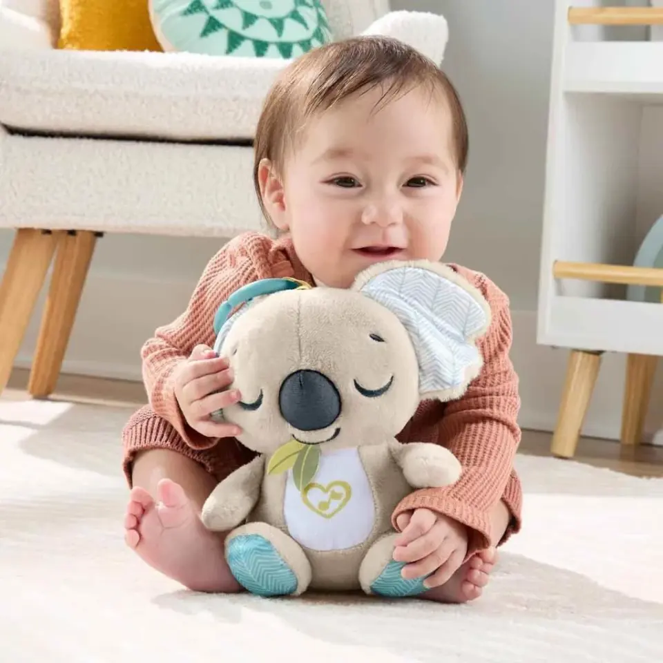 Fisher-Price On The Go Soother JBD65