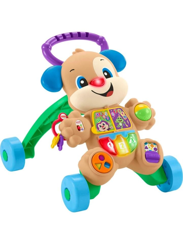 Fisher-Price Eğitici Köpekçik Yürüteç (Türkçe) FTG10